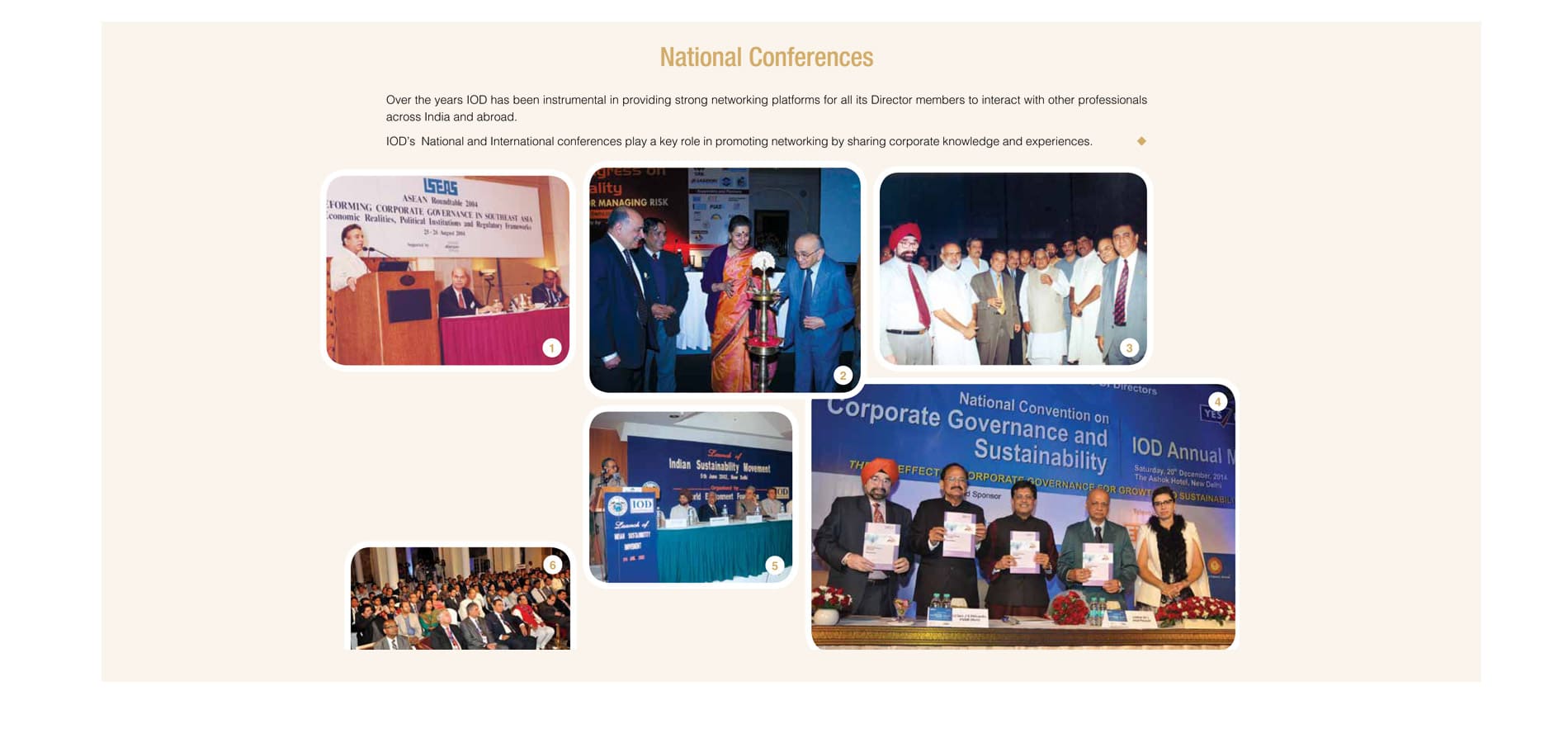 Institute of Directors Journey