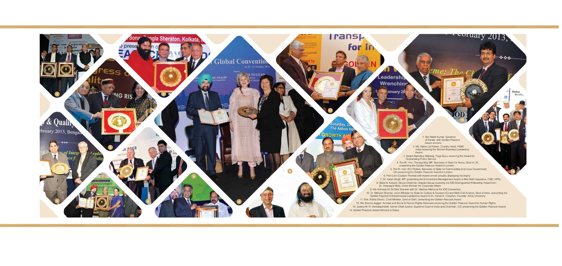Institute of Directors Journey