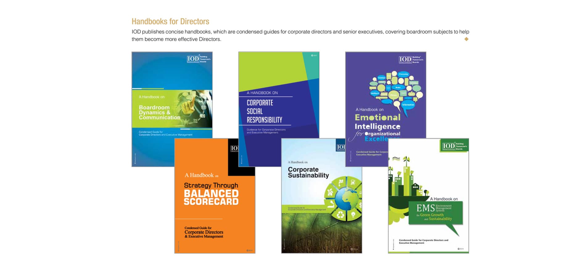 Institute of Directors Journey