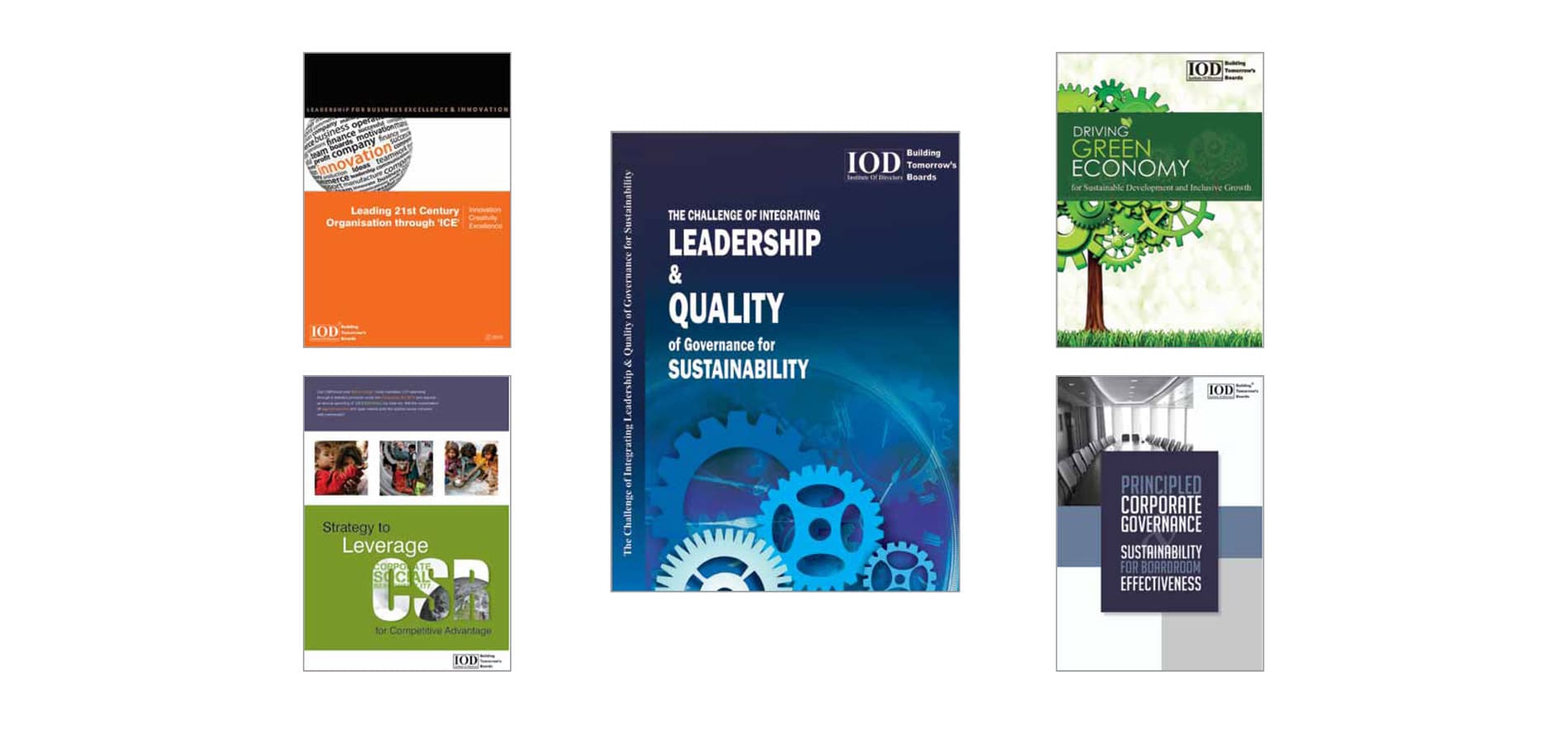 Institute of Directors Journey