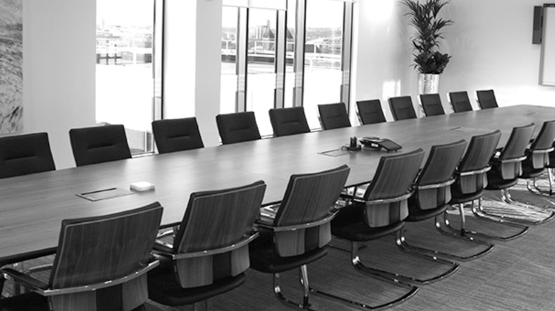 Handling Differing Director and Board Perspectives