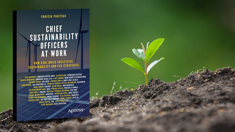 Chief Sustainability Officers at Work